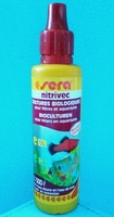 Bactéries